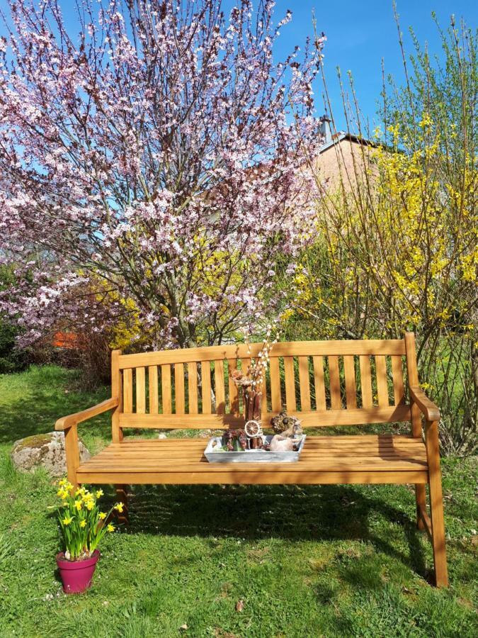 Serendipity Bed&Breakfast Saint-Die-des-Vosges ภายนอก รูปภาพ
