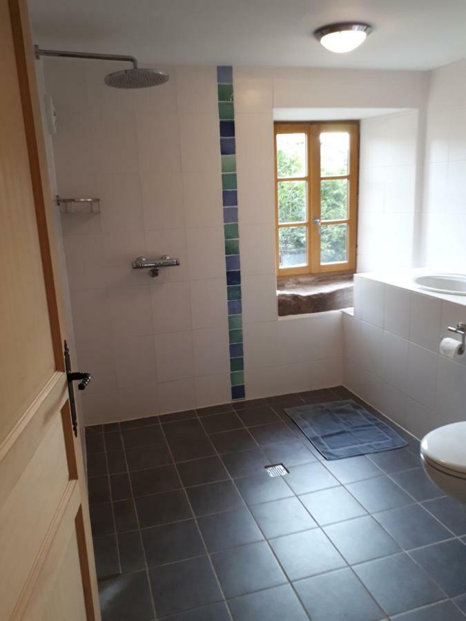 Serendipity Bed&Breakfast Saint-Die-des-Vosges ภายนอก รูปภาพ