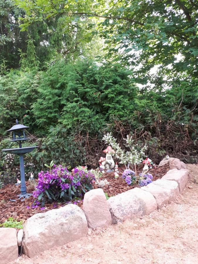 Serendipity Bed&Breakfast Saint-Die-des-Vosges ภายนอก รูปภาพ