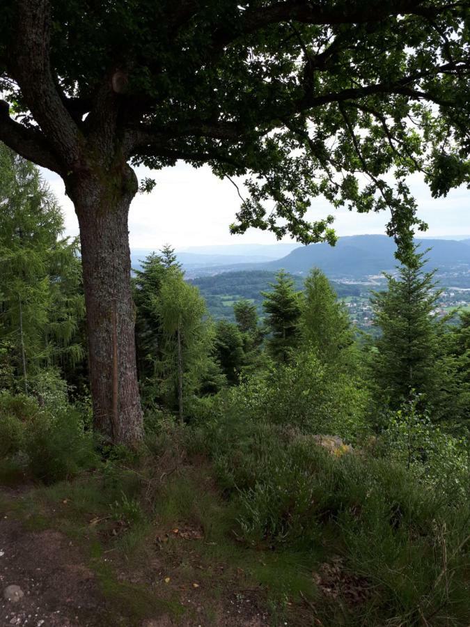 Serendipity Bed&Breakfast Saint-Die-des-Vosges ภายนอก รูปภาพ