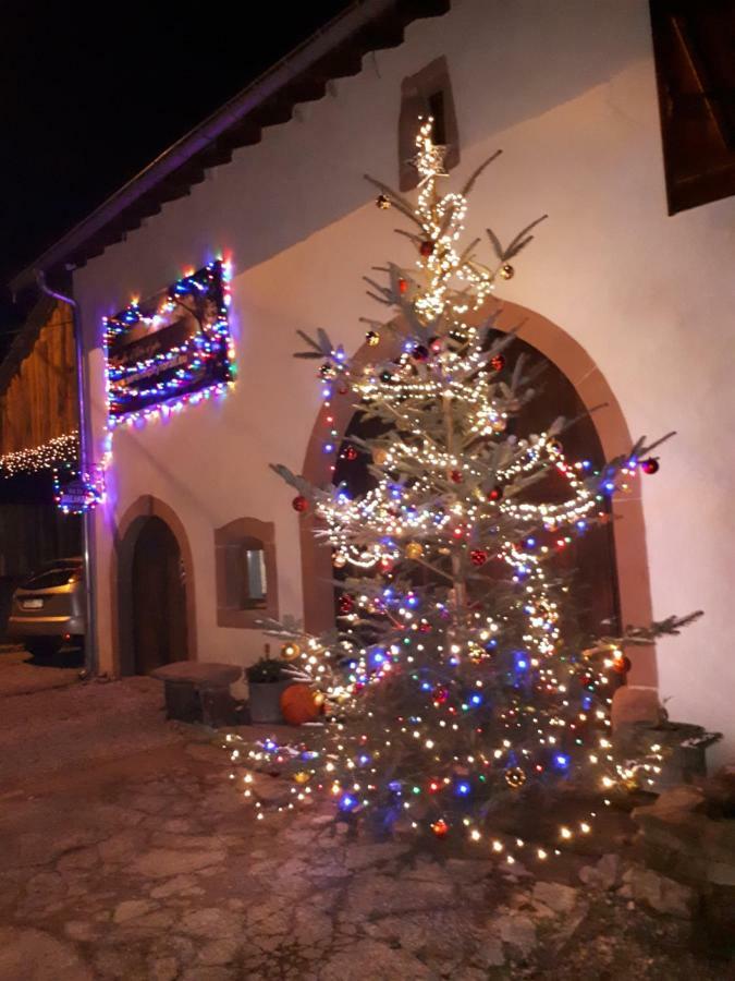Serendipity Bed&Breakfast Saint-Die-des-Vosges ภายนอก รูปภาพ