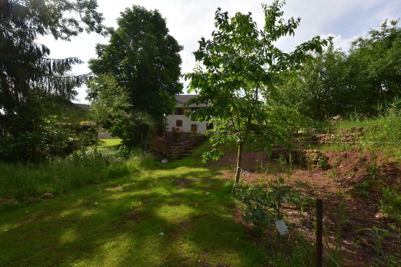 Serendipity Bed&Breakfast Saint-Die-des-Vosges ภายนอก รูปภาพ